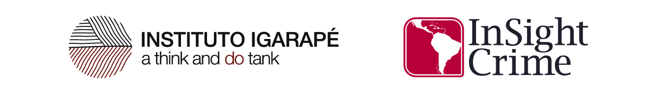 logos insight e igarapé